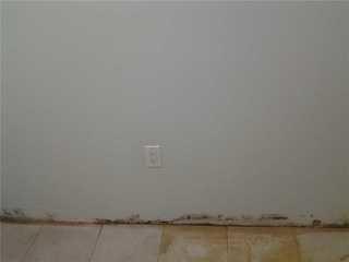 Moldy Basement Wall in Ozone Park