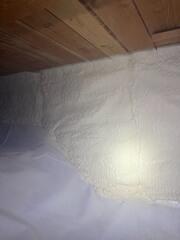 Spray Foam Insulation