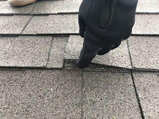 Before: Loose Shingles