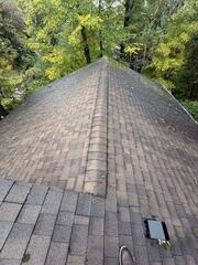 A look at the roof before any work began, showing the worn ridge area and aging materials that were contributing to the leak.