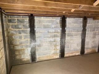 CarbonArmor Wall Straps