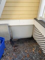Crawl Space Door