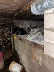 Damp Crawl Space