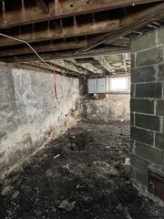 Old Dirt Floor Basement