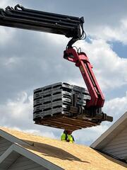 Hosting the shingles