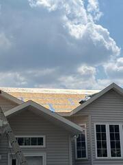 Decking needs to be sealed