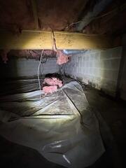 Crawl Space