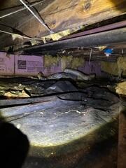 Crawl Space