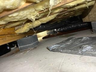 Damp Crawl Space