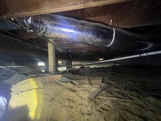 Damp Crawl Space