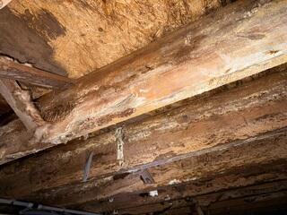 During the crawl space inspection, the LRE Design Specialist discovered significant damage to the floor joists and subfloors, as mold and moisture had caused the wood to rot and deteriorate.