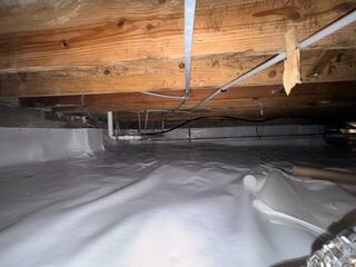 CleanSpace Moisture Barrier