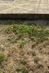 Water Washing Away Soil Under Pool Deck