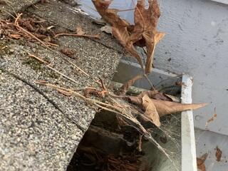 Missing gutters screens