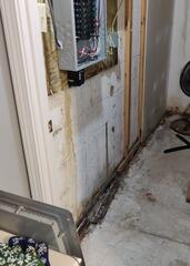 Basement During Inspection