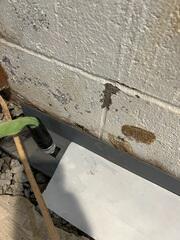 WaterGuard Installation Process