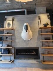 Gas Fireplace Repair in East Haven, CT