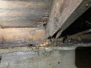Moisture Is Damaging To Wood!
