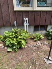 Discharge Line Freeze Prevention