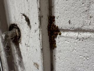 Shortly After Treating