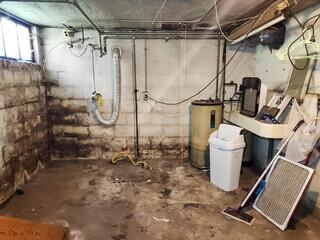Mold Treatment and Waterproofing in Moline, IL