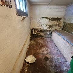 Ruined Basement Walls