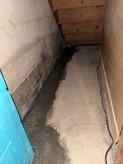 WaterGuard Drainage System