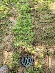 Bubbler Pot for Proper Water Release