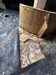 Before Installation - Moldy Crawl Space