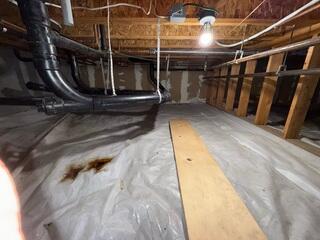 Before Installation - A Moldy, Damp Crawl Space