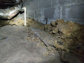 Crawl Space Before Project