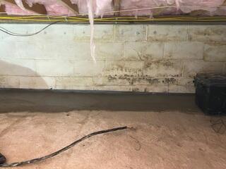 WaterGuard Drainage System