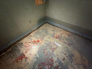 WaterGuard During Installation