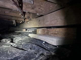 Before Encapsulation