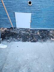 Everlast Crawl Space Door