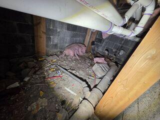 Before Waterproofing