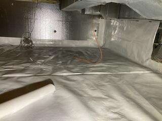 SilverGlo and CleanSpace