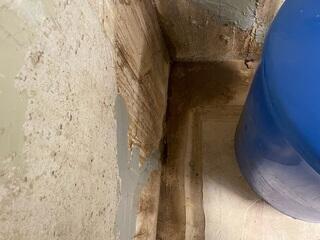 Basement Moisture