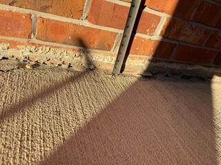 Gap Between House and Concrete Patio