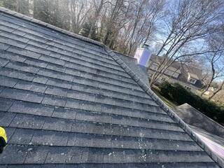 Before: Lichen Growth