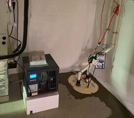 SaniDry Sedona Dehumidifier & TripleSafe Sump Pump