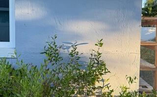 Horizontal Wall Cracks