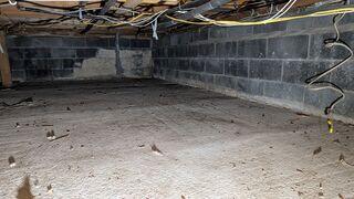 Damp Crawl Space