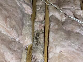 Left Some Presents Behind