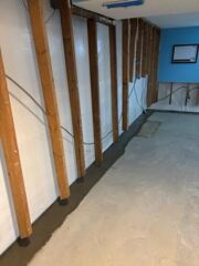 WaterGuard Drainage System