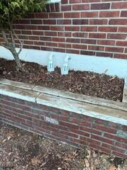 IceGuard Discharge Line