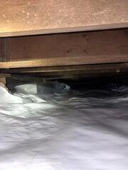 We Seal CleanSpace To Ensure It Doesn't Shift