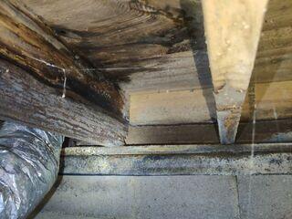 High humidity and moisture in your crawl space can wreak havoc on your crawl space and the rest of your home. Moisture often leads to mold growth, ultimately resulting in wood rot and other issues. Wood rot can be particularly hazardous because it compromises the structural integrity of your home.