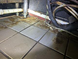 Treatment for the Fruit Flies