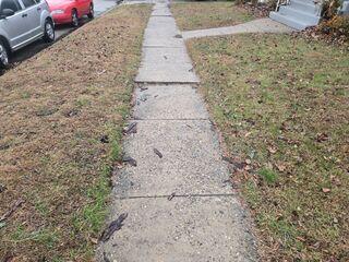 Uneven Sidewalk